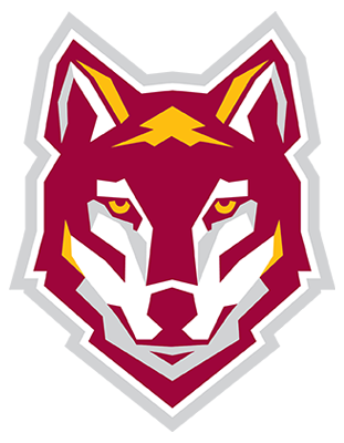Alvernia Softball Camps 